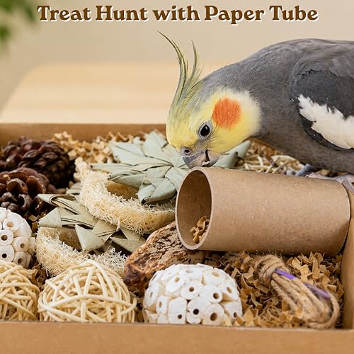Parrot Foraging Shredding Chew Toys Natural Materials, Interactive Foraging for Birds, Tearing Chewing Bird Set, Enrichment Shredding Box for Parakeets Cockatiels Conures, Parrot Accessories (Natural)