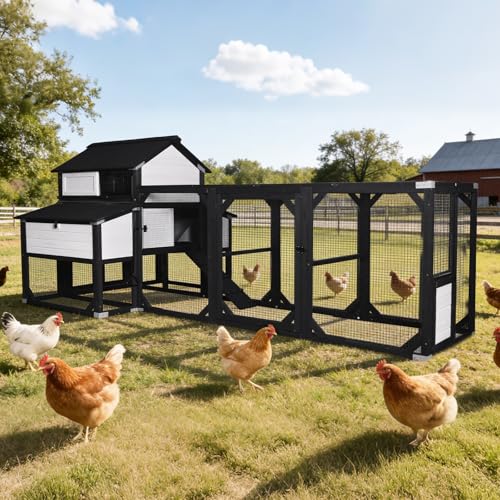 Aivituvin Extra Large Chicken Coop for 8-10 Chickens, Reinforced Outdoor Wooden Hen House with Run, 6 Nesting Boxes, Easy Clean Pull-Out Tray, Waterproof Asphalt Roof - Black, 118"L x 56.7"W x 50"H - size: 118.1"L x 56.7"W x 49.5"H