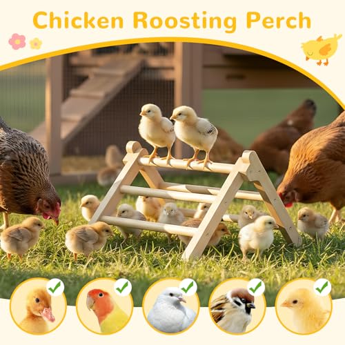 Chick Perch Foldable, Chick Toys Stable & No Assemble | Baby Chick Toys for Stand Training, 12.44" ×11.02" ×7.44" Chick Roosting Perch for Chicks Brooder | Coop (L) - size: 12.44" ×11.02" ×7.44"