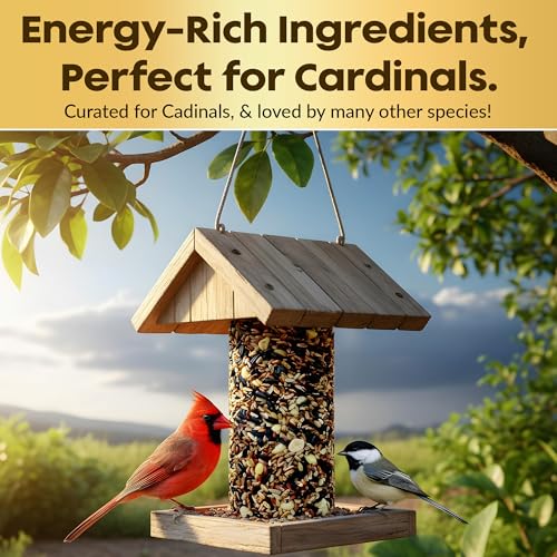 Cardinal Bird Seed Cylinders with Hole, Nutrasaff & Mealworms, 2 Pack | Cardinal Blend, Cylinder Bird Seed, Safflower, Peanuts, Mealworms & Cranberries, Attracts Various Wild Birds, USA Made 1.5lbs - size: 2-Small