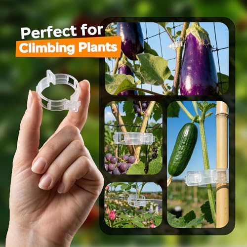 LOOHOI 100Pcs Tomato Clips for Climbing Plants Trellis Plant Support Clips | Reusable Clips for Supporting Grape Tomato Vine and Vegetables Plants to Grow Upright Makes Plants Healthier (Translucent) - color: Translucent