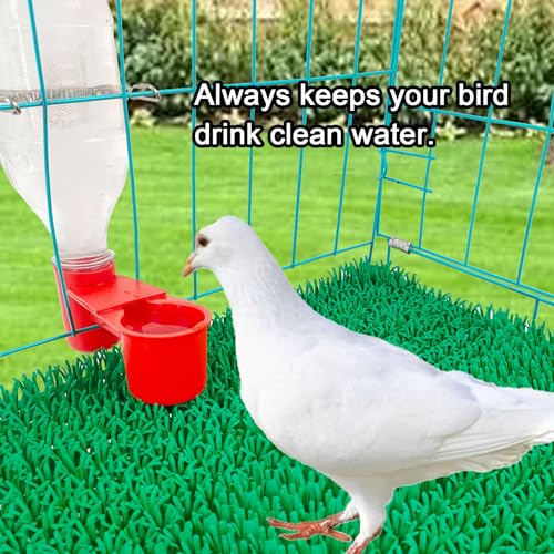 10 Pcs Bird Drinker Feeder Plastic Soda Pop Water Bottle Cup Pigeon Water Bottle Feeder for Cage for Chicken Pigeons Birds (Plastics, 10pcs)