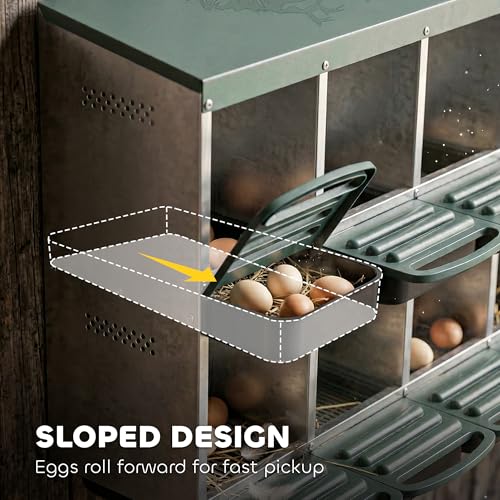 PawHut Chicken Nesting Boxes 8 Compartment for Hens Ducks, Silver | Two-Tier Egg Laying Boxes, Vented Holes, Easy Egg Collection, Metal Nesting Boxes for Chickens - size: 43.7"L x 21.7"W x 37.6"H, style: Open Front