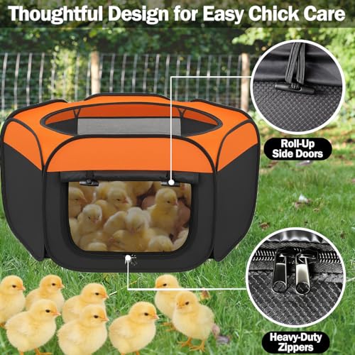 Brooder Box for Chicks, Starter Kit Pop-Up Chicken Brooder Playpen with Double Doors, Collapsible Chick Pen for Indoor Outdoor Use, Up to 20 Baby Chicks, Ducks & Quail