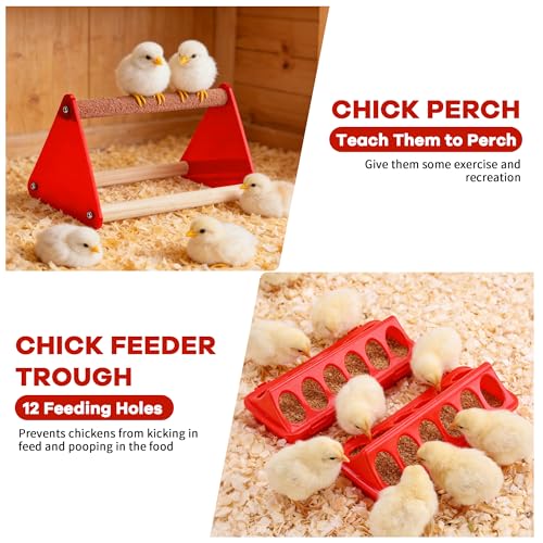 Chicken Feeder and Waterer Set, Chick Starter Kit with Chick Perch