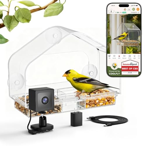 Window Bird Feeder with Strong Suction Cups & Smart Waterproof Bird Camera | 2K Clear Vision, AI Bird Recognition Tech, Real-Time Alerts, Easy to Use, Detachable Tray, 2.4G, USB Powered, for Home - color: Black