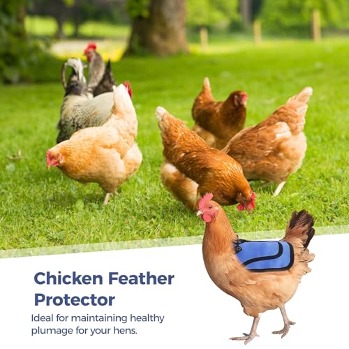 6 Pcs Chicken Saddles for Hens, Adjustable Hen Saddles, Chicken Sweater Aprons, Protects Back and Sides Pecking, Chicken Feather Protectors, Poultry Accessories for Outdoor Use