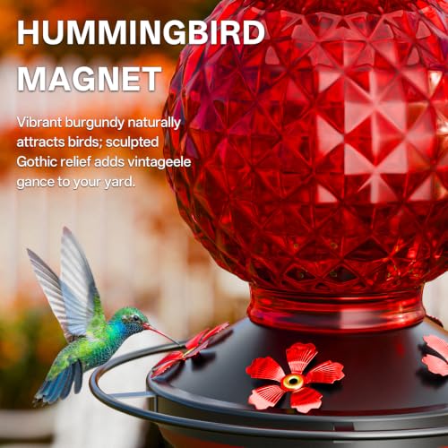 Glass Hummingbird feeders for Outdoors, 5 Feeding Ports Hummingbird Feeder, Wide Mouth for Easy Filling/Cleaning, Hanging for Garden Backyard Decor, Includes Ant Moat (Red 2 Pack) - size: PACK 2