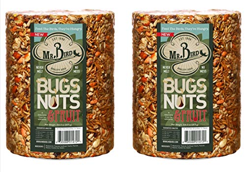 Mr. Bird Bugs, Nuts & Fruit Cylinder, 2-Pack, 4 lbs 2 oz | Wild Bird Seed For Outside Feeder | Premium Blend of Mealworms, Sunflower Hearts & Cranberries | No Mess, No Melt - size: 9 Pound (Pack of 2)