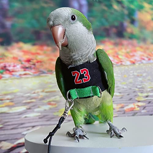 Bird Flight Harness Vest, Parrot Flight Suit with Leash, Bird Flying Clothes with Rope and Handle for Outdoor Activities (Without Leash,Cockatiel) (L, with Rope)