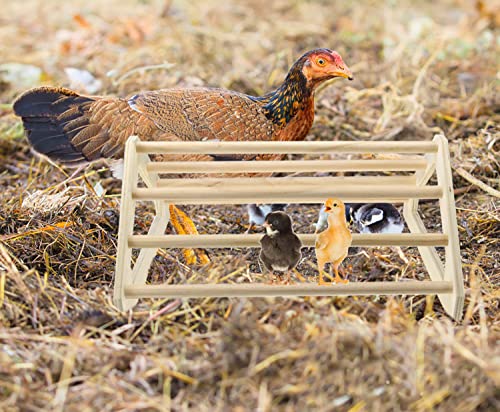 3 Pack Chick Perch Chick Toys Chick Wooden Roosting Bar Chick Jungle Gym Perch Stand for Chicken Brooder, Coop Baby Chicks