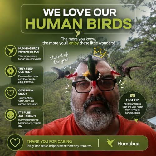 Humming Bird Feeders for Outdoors, Ant Proof Hummingbird Feeder, Weather Resistant Hummingbird Feeder Glass, No Leak Humming Bird Feeder Glasses, Bebedero para Colibri, 6 Hand-Blown Glass Ports