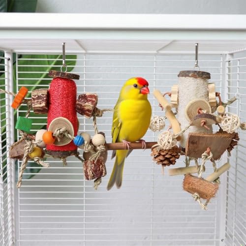 Natural Loofah Parrot Chew Toy - Hanging Bird Shredding Foraging Toy with Colorful Rope, Wood Blocks & Beads for Macaws, Cockatoos, African Grey, Conures - Bird Cage Chewing Entertainment Toy.