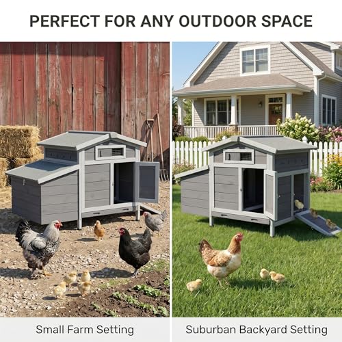 Gray Wooden Outdoor Chicken Coop with Asphalt Roof, Pull-Out Tray, Nesting Box and Latch-Secured Double Doors