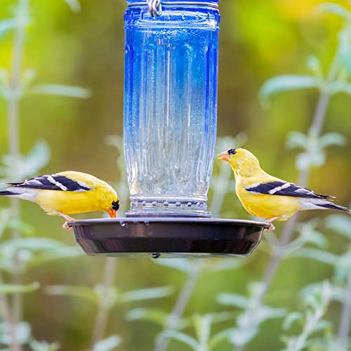 Kingsyard Glass Bird Water Feeder for Outdoors, Hanging Bird Waterer | 16 oz Capacity, 360 Degree Perch, Wide-Mouth Opening, Metal Hanging Hook & Base, Easy to Clean & Refill, Blue