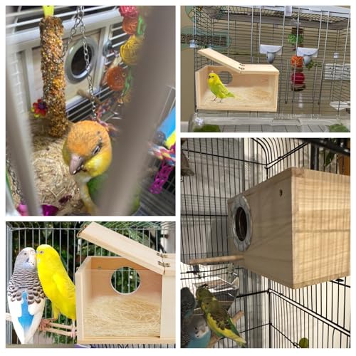 PINVNBY Acrylic Parakeet Nesting Box,Transparent Bird Breeding Box with Detachable Wooden Board Visual Cockatiel House for Budgie Lovebird Conure Parrot (S) - size: Small