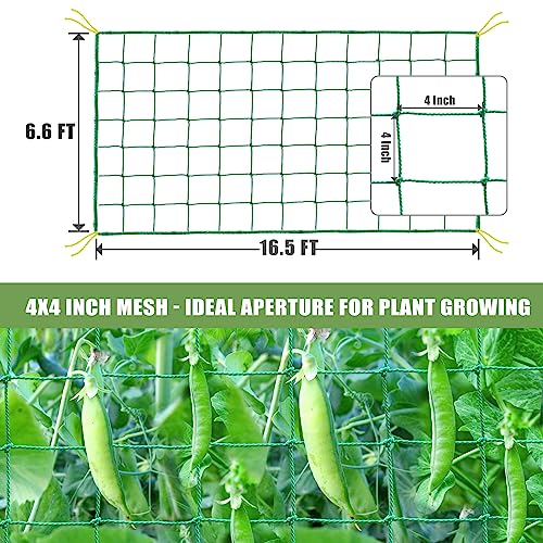 Trellis Netting for Climbing Plants, Cucumber/Tomato Garden Trellis Netting | Heavy Duty Garden Netting for Trellis for Climbing Plants Outdoor, Thickened Plant Grow Net for Vine, Fruits, Vegetables,Bean - size: 6.6x16.5 FT (27 Strands)