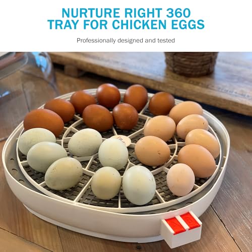 Egg Trays for Nurture Right 360 Egg Incubator,22 Medium Chicken Eggs Keeper