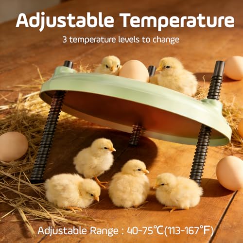 Brooder Plate for Chicks,12inch Metal Heating Plate,Perfectly Adjustable Height & Angle, 35W Chick Warmer for Brooding Newborn Chicken Duckling Quail,Chicken Coop Heater, Warming Puppy Cats