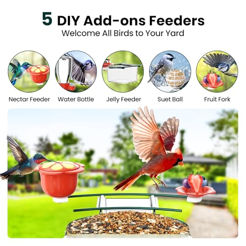 SOLIOM Bird Feeder with Camera, Solar Smart Bird Feeder Camera with AI Bird Identification, 2K HD Live View & Instant Alerts, Squirrel-Proof Metal Outdoor Bird Feeder, Bird Watching Gift Set (Green) - color: Green Medium Set