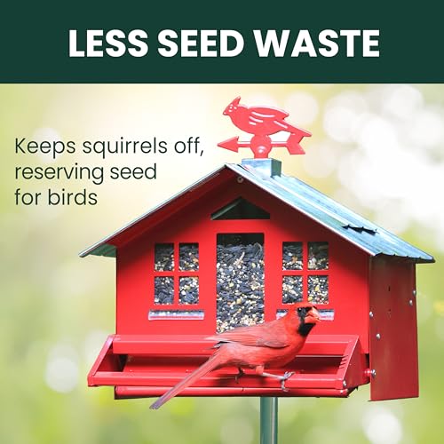 Perky-Pet Squirrel-Be-Gone II Country Style Bird Feeder, 8 lb Seed Capacity | Weight-Activated, Squirrel Proof, Metal Construction, Rust Resistant, Locking Lid, Removable Roof, Adjustable Settings, 338