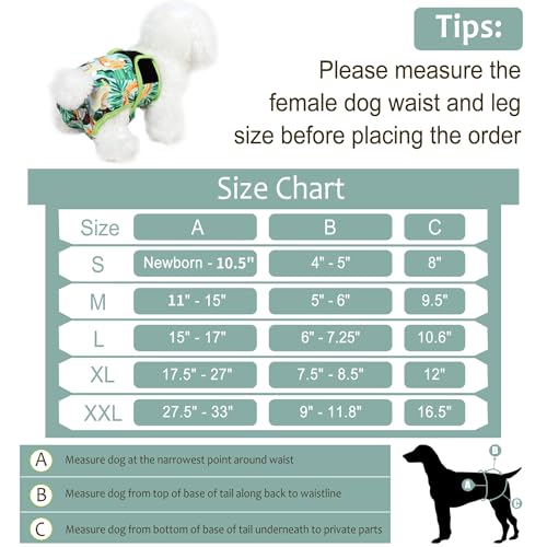 Washable Female Dog Diapers - Premium Reusable Diapers for Doggie in Heat - Highly Absorbent Dog Diapers Female for Pet Incontinence with Adjustable Snaps (Succulents，S) - color: Succulents, size: Small（New Born-11.5“Waist）