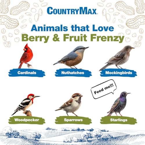 Backyard Seeds Berries 'N Fruit Bird Seed Mix 5lbs - Premium Blend with Dried Fruit & Berries, Large Bag of Wild Bird Food - size: 5 Pound (Pack of 1), style: Berry and Fruit Frenzy