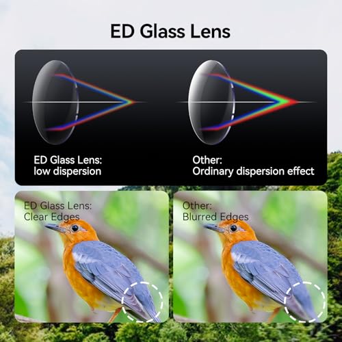 SVBONY Upgraded SV202 8x42 Binoculars for Bird Watching, ED Binoculars Lens | Extra-Low Dispersion Objective Lens, BAK4 & FMC System, 8°+Wide View Angle, IPX7 Waterproof Fogproof for Outdoor Observation - size: 8x42mm
