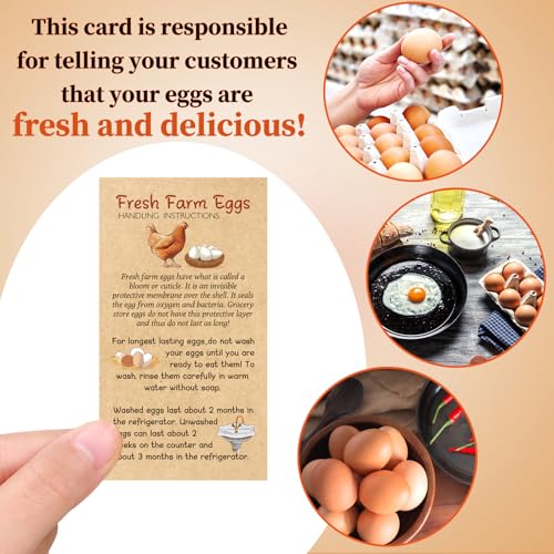 3 in 1 Total 1200pcs Fresh Farm Egg Egg Stickers Set Include 500pcs Farm Fresh Eggs Carton Labels 200pcs Handling Instruction Cards 500pcs Please Return Eggs Carton Labels Stickers