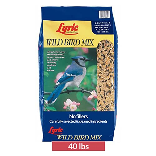 Lyric Wild Bird Mix - Includes Corn, Nuts, and Wild Bird Seed for Outside Feeders, Attracts Doves, Jays and Many More, 40 lb Bag | Includes corn, white millet, sunflower and safflower seeds and peanuts - Attracts Doves, Jays and many more
