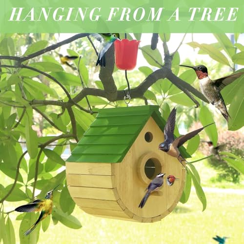 Wooden Bird House for Outside，3Holes Bird House for Bluebird Cardinals Wren Swallow, Hangding Birdhouse in Garder/Balcony/Courtyard Green - color: Green