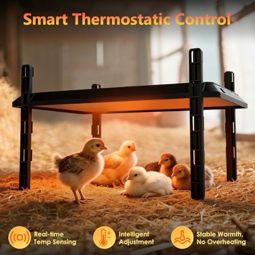 Smart Chick Brooder Heating Plate, Chicken Coop Heater, 75W Brooder Heater with Timer & Adjustable Thermostat, Radiant Heat Panel for Poultry, Energy-Efficient, UL-Compliant