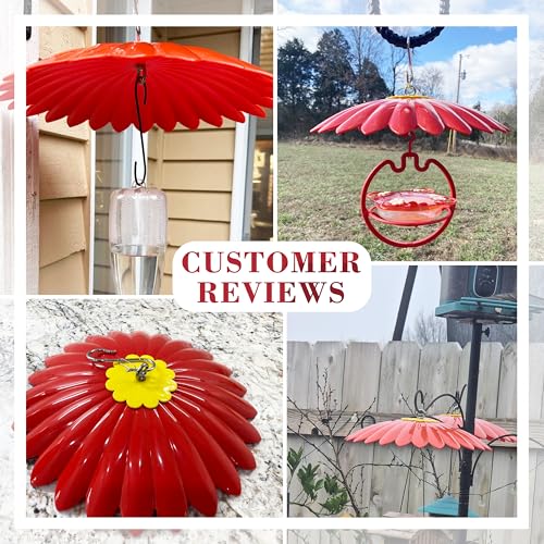 10.5 inch Hummingbird Feeder Shade Dome Cover,Rain Guard,Weather Guard for Bird Feeder, Umbrella Cover for Bird House for Outdoor,Squirrel Baffle,Flower Design(Red). - color: Red, size: 10.5'' / 1PCS