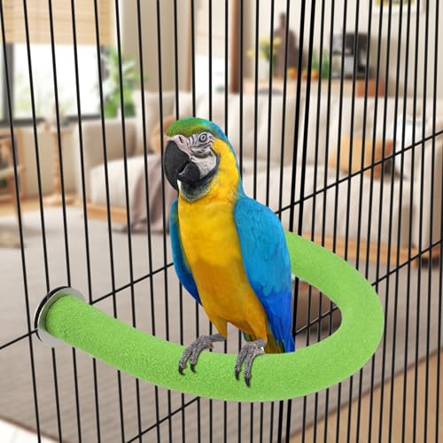 Rypet U-Shaped Large Parrot Perch, Quartz Bird Perch for Cage(Green XL) | Safe Chew & Rest Perch for Large Birds, Durable Non-Toxic Cage Accessory, for Parakeets Cockatiels Conures Macaws - color: Green, size: X-Large