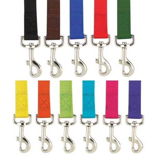 Zack & Zoey Basic Nylon Dog Leash, 6-Feet x 5/8-Inch Lead, Parrot Green - color: Parrot Green, size: 6-Feet x 5/8-Inch Lead