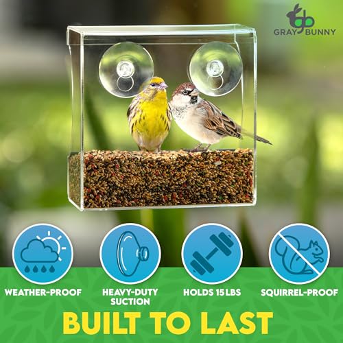 Clear Window Bird Feeder for Outdoors, Bird Houses with Strong Suction Cups | Premium bird feeder for window, cardinal bird feeder, drain holes & large seed capacity - style: Square Feeder