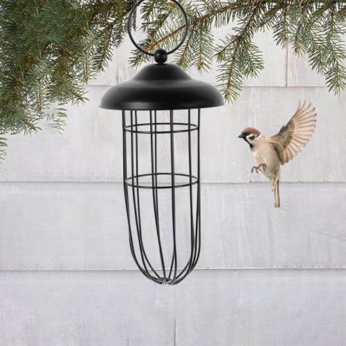 Parakeet Millet Holder Wire Feeder Millet Holder Treat Food for cage Wire Cages for feeders Squirrel Birds Supplies Wild