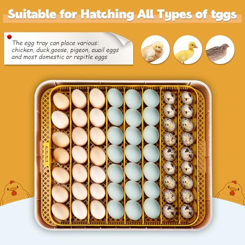 Incubator for Hatching 56 Eggs,Temperature Control & Auto Humidification | Stable Temperature & Humidity, Auto Egg Turning, Built-in Candler, View Window, Alert System for Lab School Farm