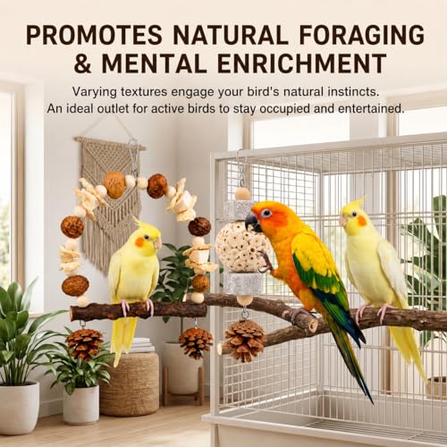 2 Pack Natural Bird Toys Set - Prickly Ash Wood Arch Swing with Walnuts & Cuttlebone - Sola Ball Shreddable Toy with Beak Grinding Pumice Stone, Cage Accessories for Cockatiel, Conure, Parakeets - color: Wood B(Sola Ball Set)
