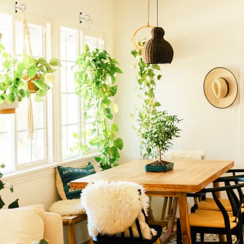 2Pack 2.5In Ceiling Hooks for Hanging Plant, Wall Hanger Plant Holder White | Hang planters, flower baskets, wind chimes, lanterns, lights, bird feeders; metal hook for indoor & outdoor porch, home decor - size: 2.5Inch 2Pack-White