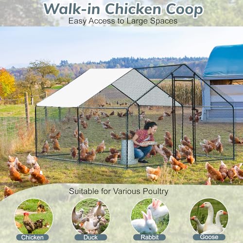 VINGLI Large Metal Chicken Coop, 9.8x9.8x6.5 ft Poultry Cage for Chicken Run, Walk-in Chicken Pen with Waterproof & Anti-UV Cover for Yard Outdoor (Black-Spire Roof) - color: Black-Spire Roof, size: 9.8*9.8*6.5 ft