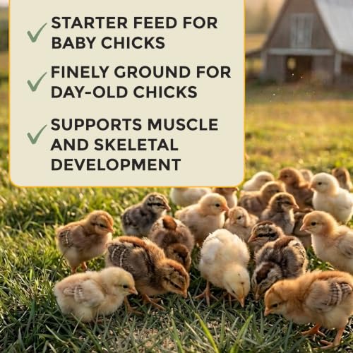 New Country Organics | Starter Feed for Baby Chicks | Soy-Free | 21% Protein | Certified Organic and Non-GMO | 25 lbs - size: 25 Pound (Pack of 1)