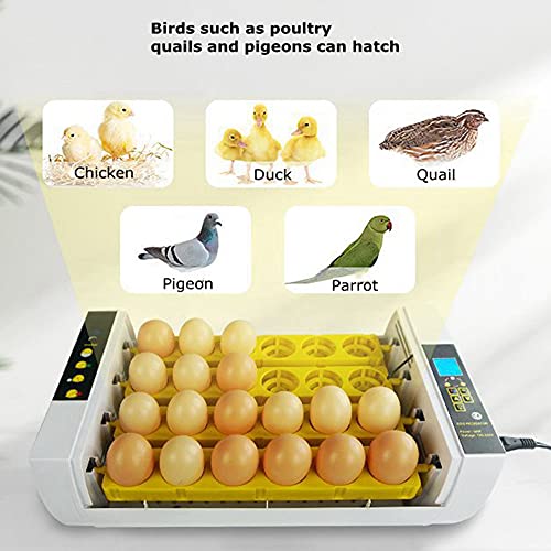 TECHTONGDA Digital Egg Incubator 24Eggs Automatic Poultry Hatcher with Egg Turning and Humidity Control 110V