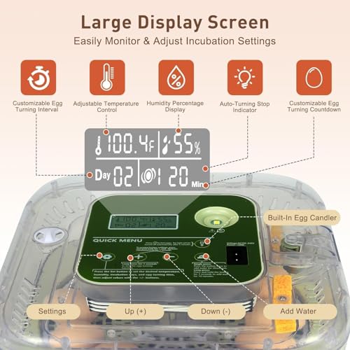 Gen IV – 12 Egg Fully Automatic Incubator, 2026 Upgraded Design, Intelligent Sensor-Based Humidity & Temp Control, Custom Hatch Days, Adjustable Auto Turnn with Auto-Stop, 360° View, Alarm, Candler - size: 12 egg-green