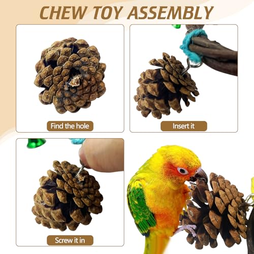BNOSDM Bird Swing Rings Toy Natural Wood Parrot Climbing Ladder Parakeet Chewing Toys Hanging Budgie Cage Accessories for Green Cheek Conure Cockatiel Lovebird (9 Rings)