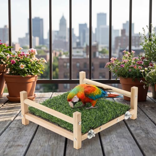 AceOrbit Bird Foraging Bed with Grass Mat 9.06 x 7.87 x 3.94 Inch Parrot Foraging Toy Hammock Bed Wood Frame Easy Install with Hardware Kit for Small Birds Cage Enrichment