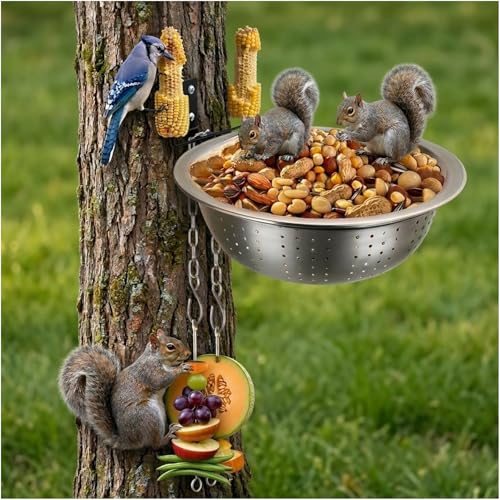5 Feeding Points Squirrel Feeder with Fixed 2 Corn Cob Holders on Top, 2 Hanging Chain Below, Harmony Among Squirrels & Birds, Removable Drainage Bowl Keeps Food Dry Fresh, 8.5in/1.4L - color: 1-Bowl with Chain Feeder