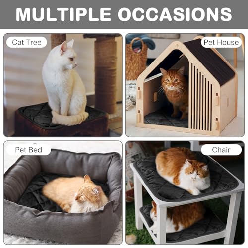 4 Pack Self Heating Cat Pad Self Warming Dog Mat Reflects Body Heat Extra Warm Thermal Pet Pad Washable Dog Cat Bed Crate Bed Mat Blanket(16 x 16 Inch,Black) - color: Black, size: 16 x 16 Inch