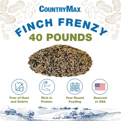 Backyard Seeds Finch & Small Songbird Frenzy 40lbs - Premium Nyjer Thistle Seed Blend for Finch Feeders, Small Bag of Wild Bird Food - size: 40 Pound (Pack of 1), style: Finch Frenzy