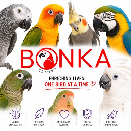 Bonka Bird Toys 1854 Tri Foraging Star 13" x 8" Natural Vine Ball Chew and Shred Toy for Medium to Large Birds Like Conures African Greys Amazons and Similar - size: Tri